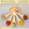 Bamboo Spoon Set (5 Pc), Small Kitchen Teaspoons, Tiny Wooden Spoons Perfect for Sugar, Spices, Seasoning, Coffee, Jam, Herbs, Honey & Dessert